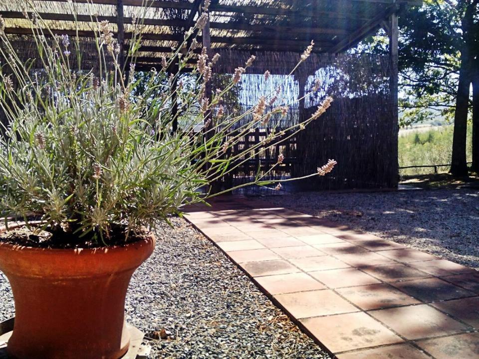 Agriturismo Podere Cherzo Cinigiano Buitenkant foto
