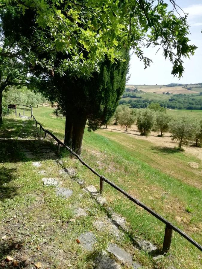 Agriturismo Podere Cherzo Cinigiano Buitenkant foto