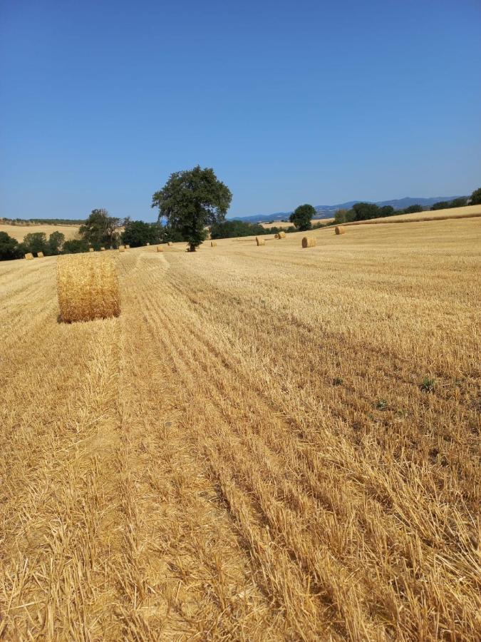 Agriturismo Podere Cherzo Cinigiano Buitenkant foto