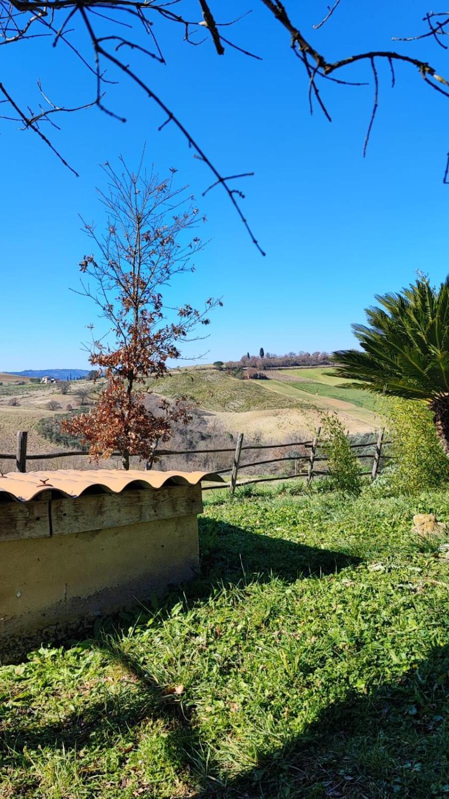 Agriturismo Podere Cherzo Cinigiano Buitenkant foto