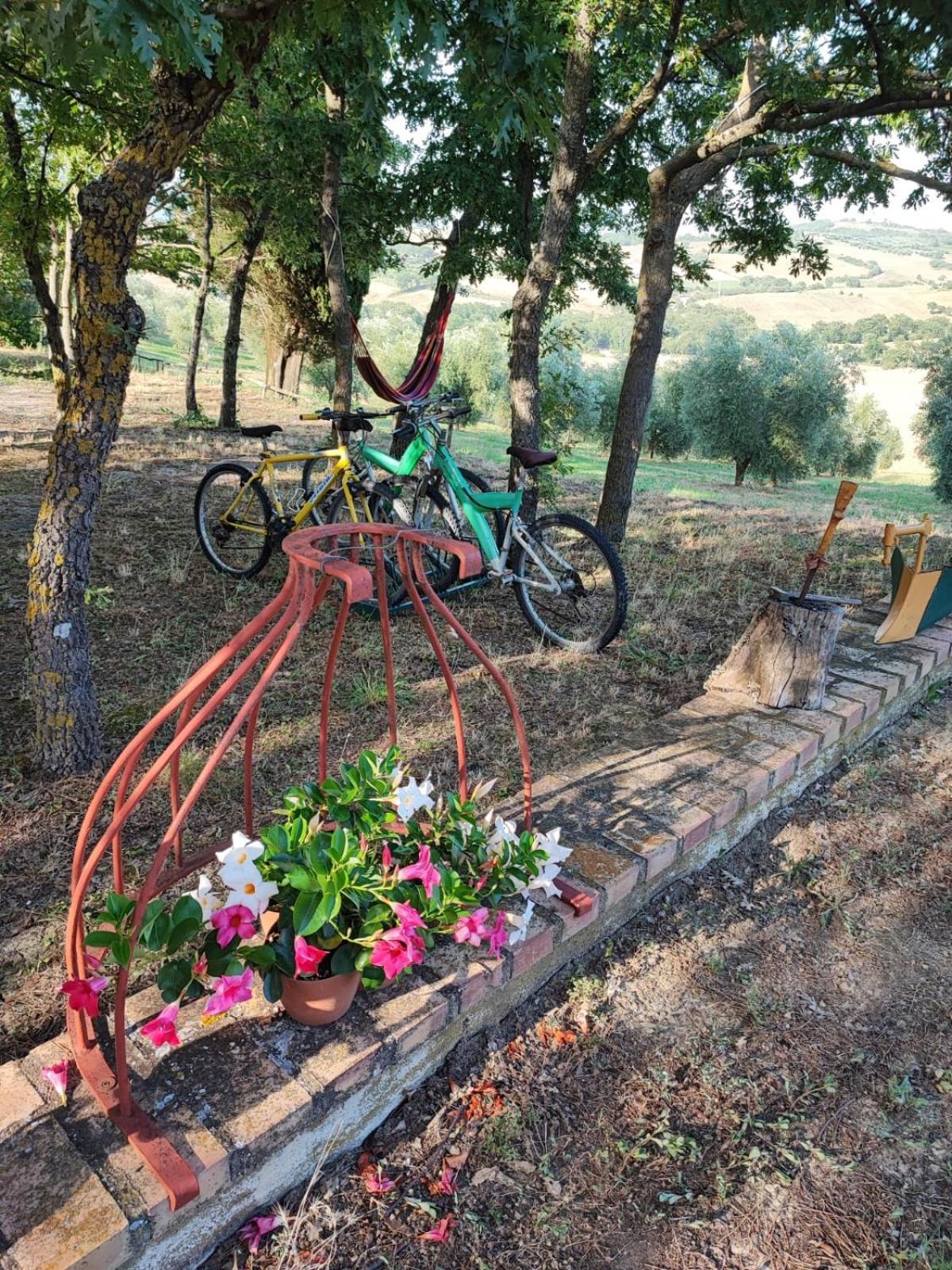 Agriturismo Podere Cherzo Cinigiano Buitenkant foto